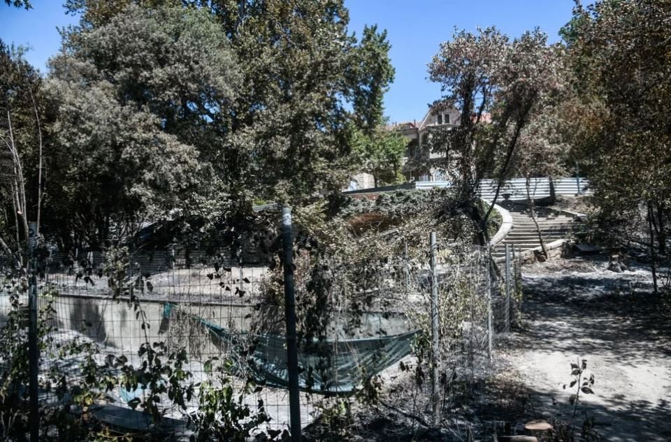 O χώρος γύρω από την πισίνα στο Τατόι / Eurokinissi