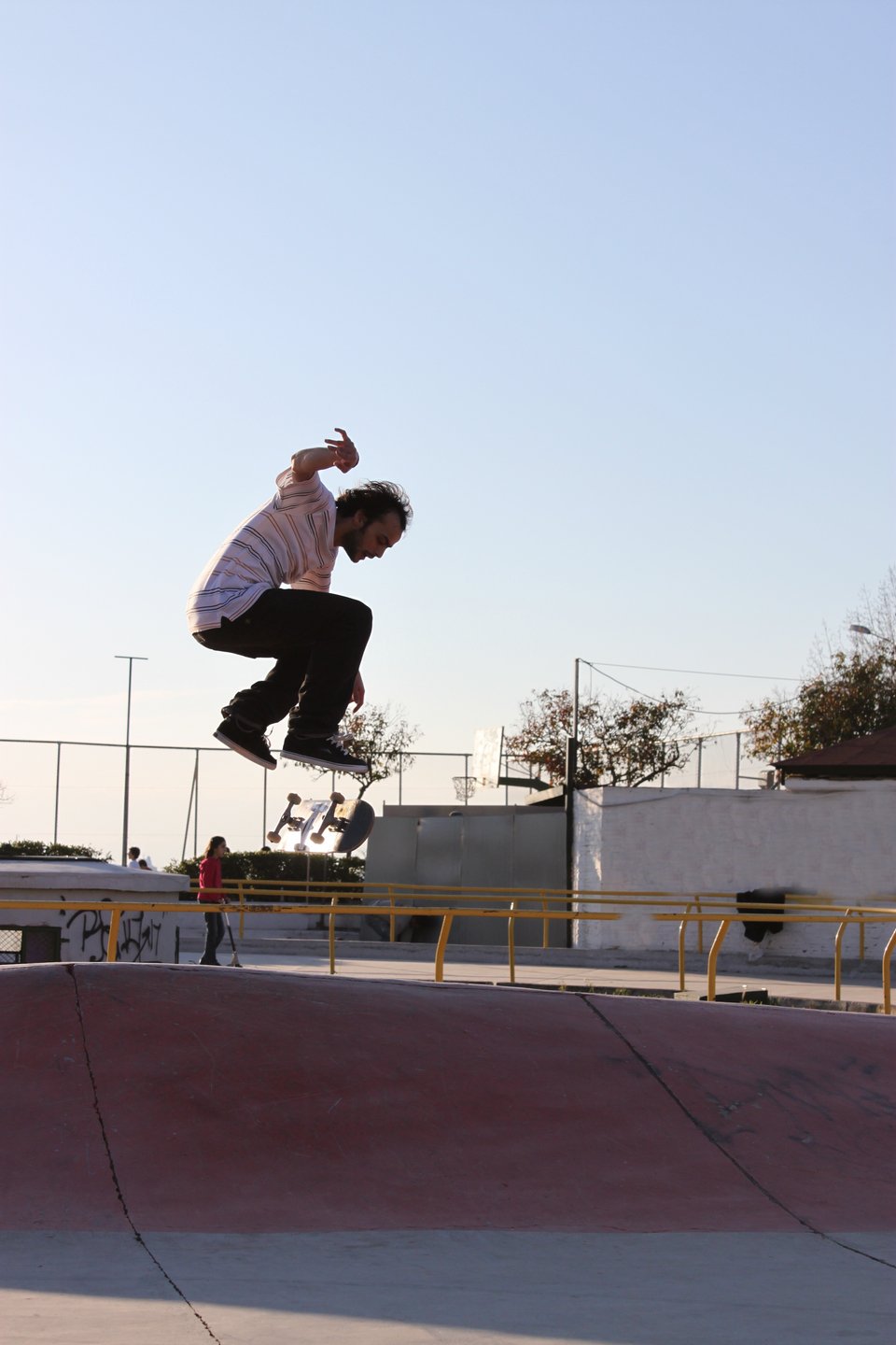 Skate