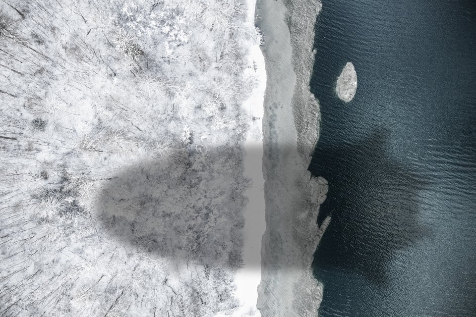 Ένα από τα θετικά στοιχεία του ταξιδιού με αερόπλοιο είναι πως οι επιβάτες θα μπορούν να χαζέψουν από μικρή απόσταση την αρκτική πανίδα