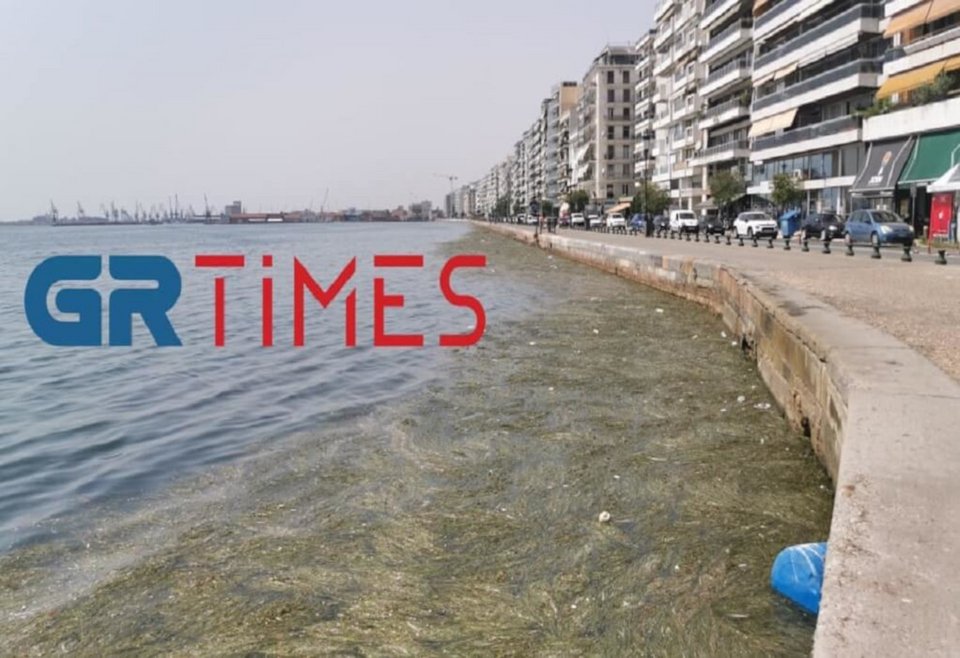 Μέσα στο νερό και βαρέλι / Φωτογραφία: GRTimes