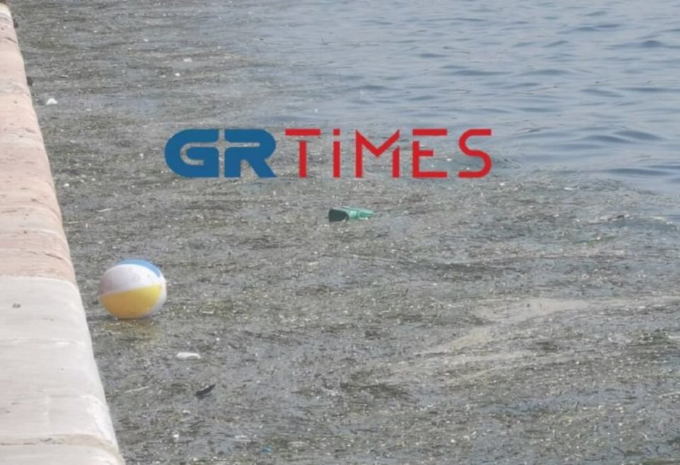 Μπάλες θαλάσσης κάνουν... βόλτες στα νερά / Φωτογραφία: GRTimes