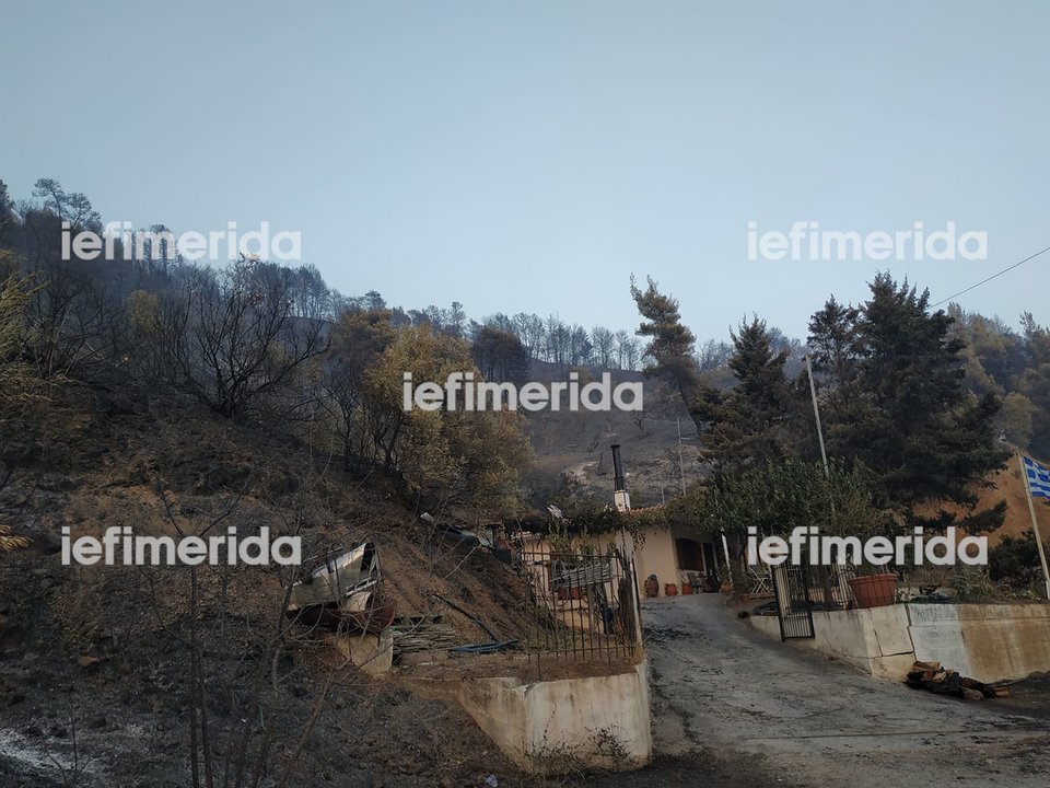 Φωτιές στην Εύβοια