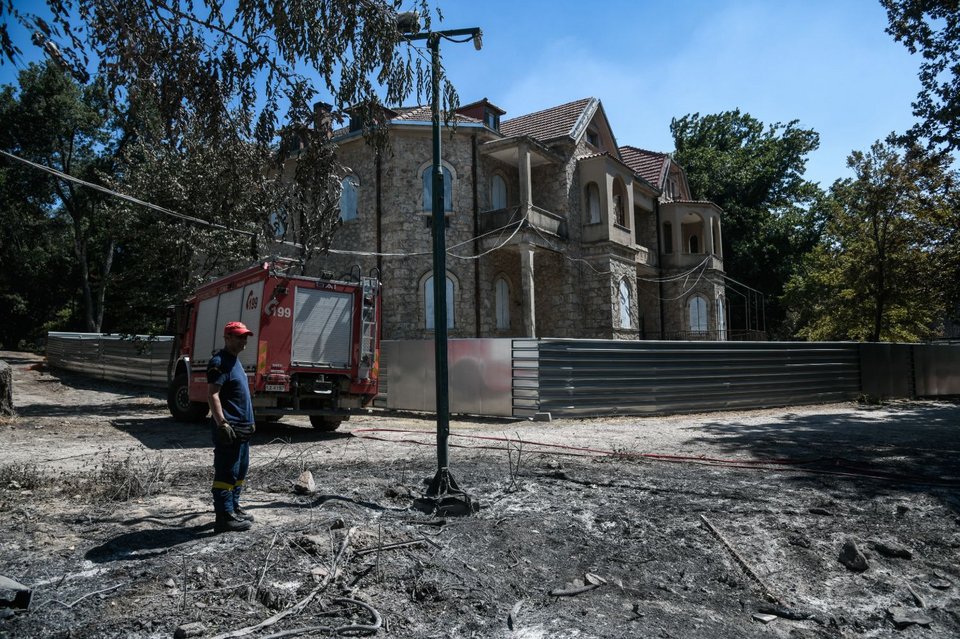 Τατόι μετά τη φωτιά
