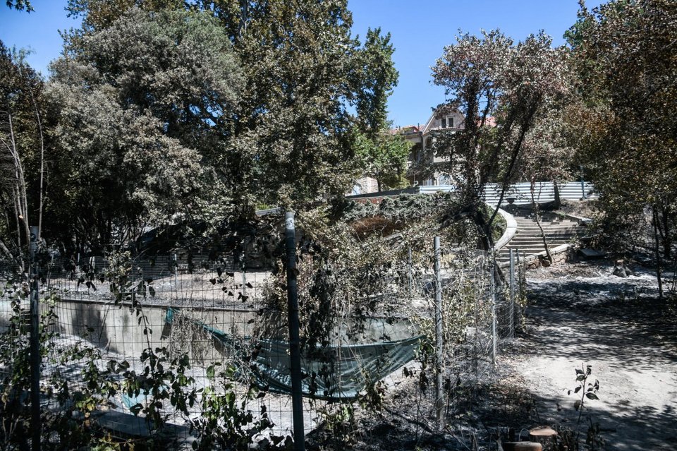 Τατόι μετά τη φωτιά