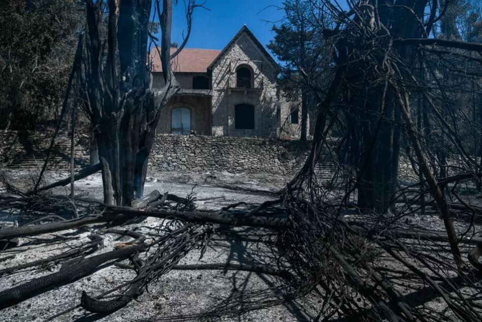 Μέρος του δάσους έχει υποστεί καταστροφή / Εurokinissi