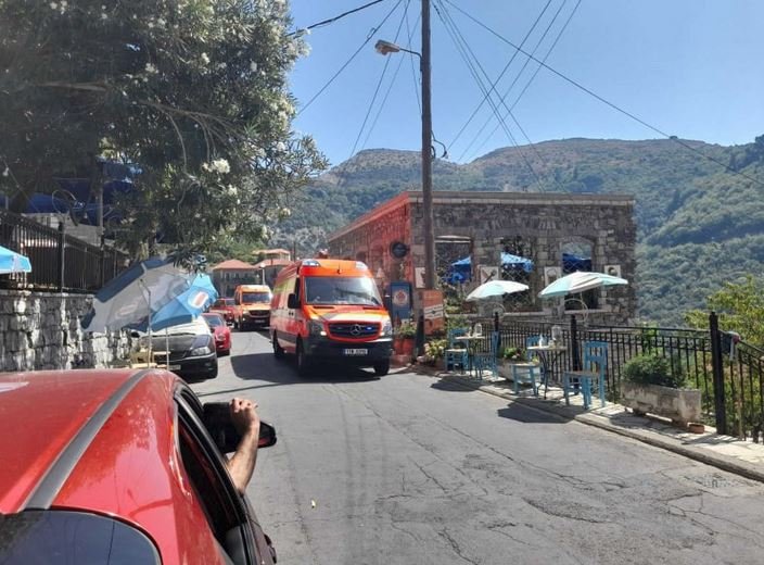 Τσέχοι στη Γορτυνία πυροσβεστικό