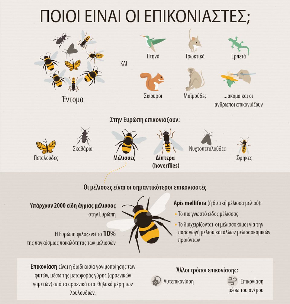 Οι επικονιαστές στην ΕΕ