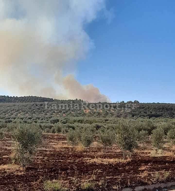 φωτιά Αταλάντη 25/9/2021