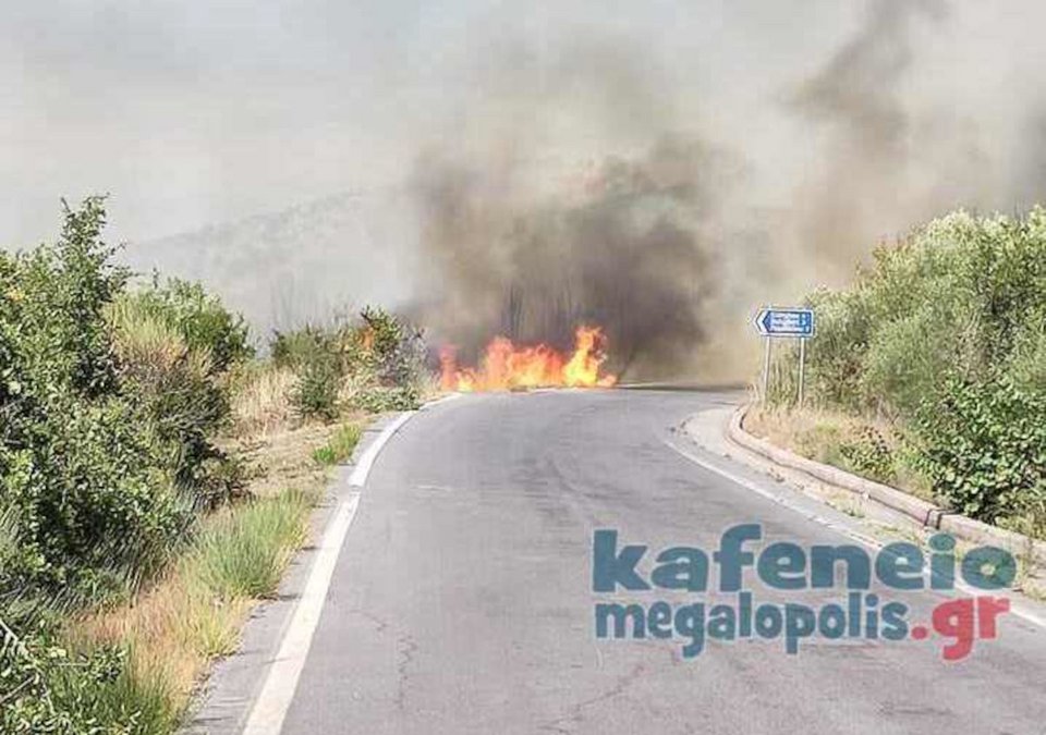 Το πύρινο μέτωπο σήμανε συναγερμό / Φωτογραφία: kafeneio-megalopolis.gr