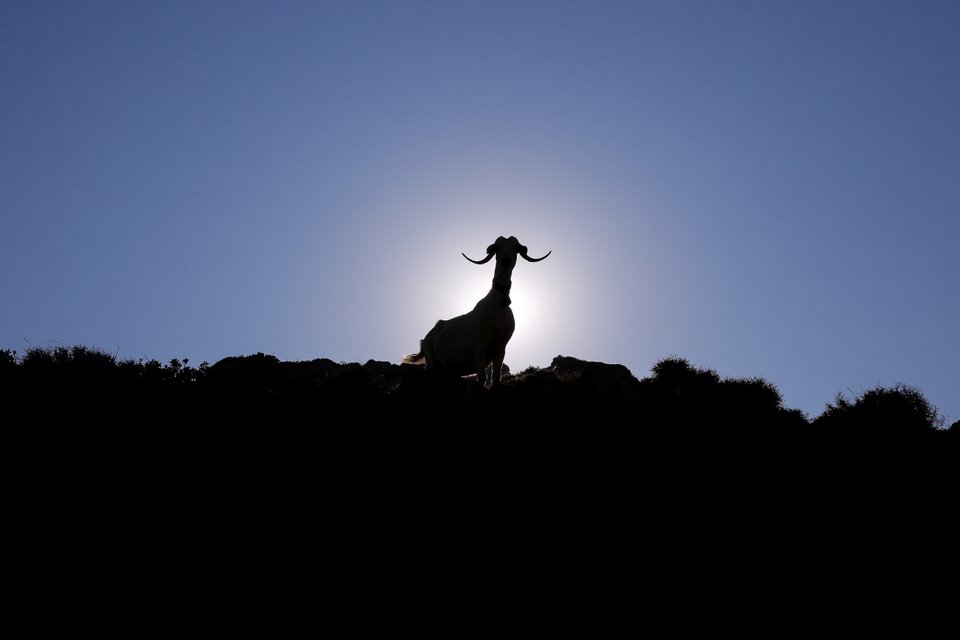 Φωτογραφία: George Vitsaras / SOOC