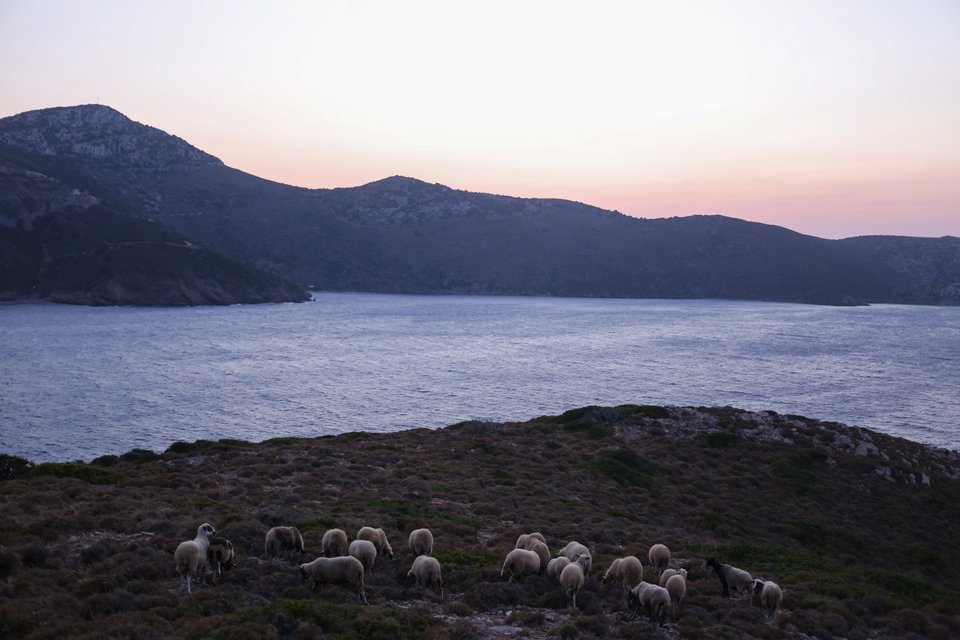 Φωτογραφία: George Vitsaras / SOOC