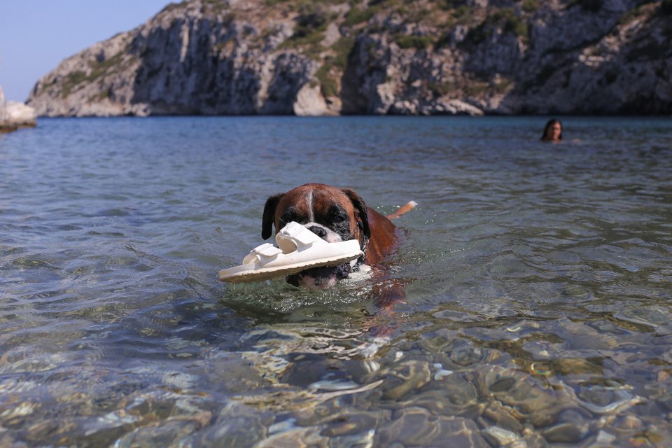 Φωτογραφία: George Vitsaras / SOOC