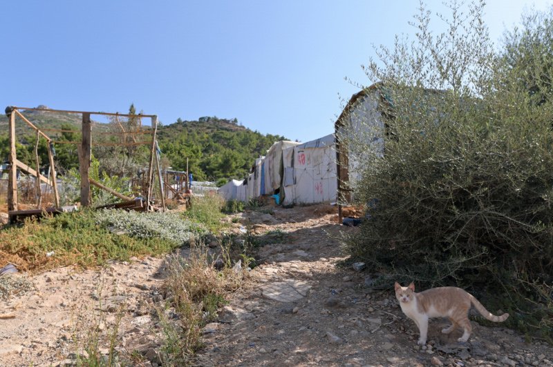 ΚΥΤ