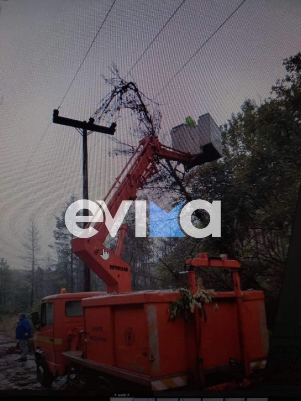 πτώσεις δέντρων Εύβοια κακοκαιρία