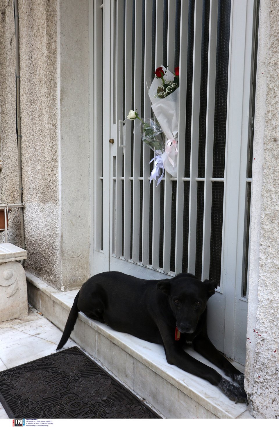 Φωτογραφία: IntimeNews/ΚΑΡΑΤΖΑΣ ΚΩΣΤΑΣ