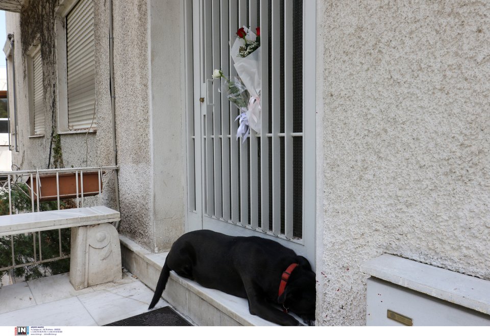 Φωτογραφία: IntimeNews/ΚΑΡΑΤΖΑΣ ΚΩΣΤΑΣ