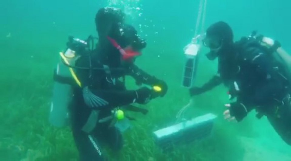 Η παραγωγή κρασιού σε... άλλο επίπεδο / Φωτογραφία: ΑΠΕ-ΜΠΕ