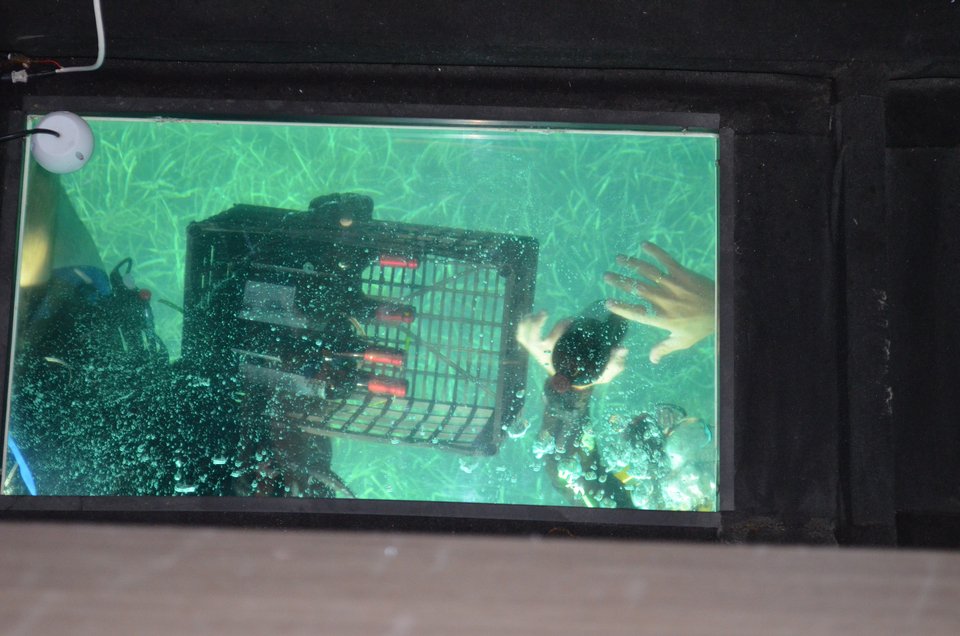 Δεδομένα ιδιαίτερα τα κρασιά αυτά / Φωτογραφία: ΑΠΕ-ΜΠΕ