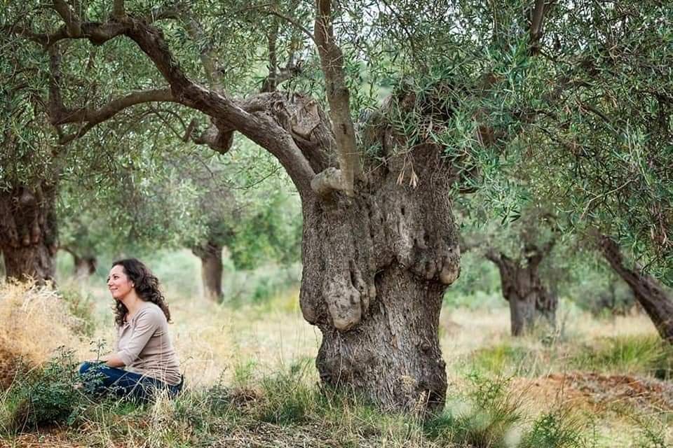 ελια