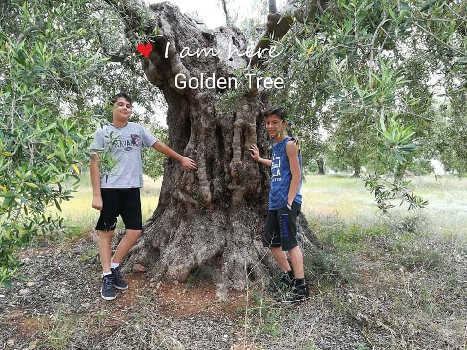 ελια