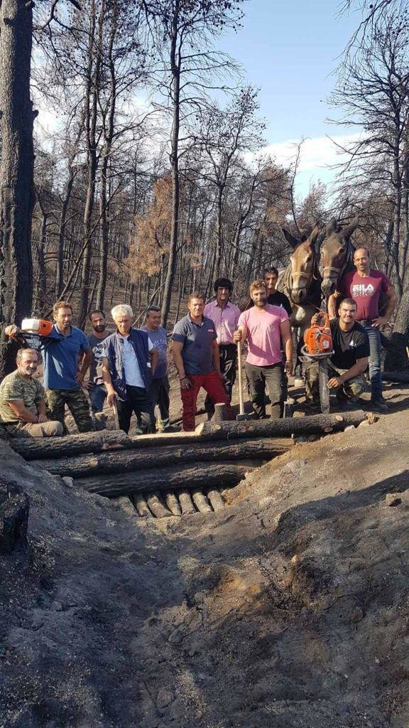 Πάνω από 700 δασεργάτες στις πυρόπληκτες περιοχές της Βόρειας Εύβοιας