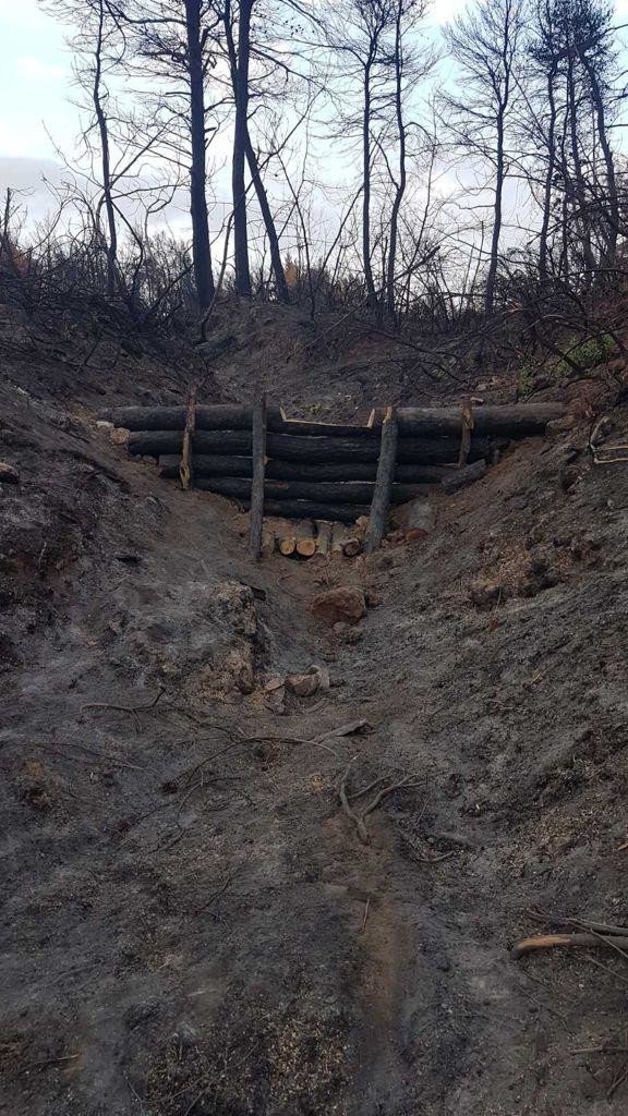 Πάνω από 700 δασεργάτες στις πυρόπληκτες περιοχές της Βόρειας Εύβοιας