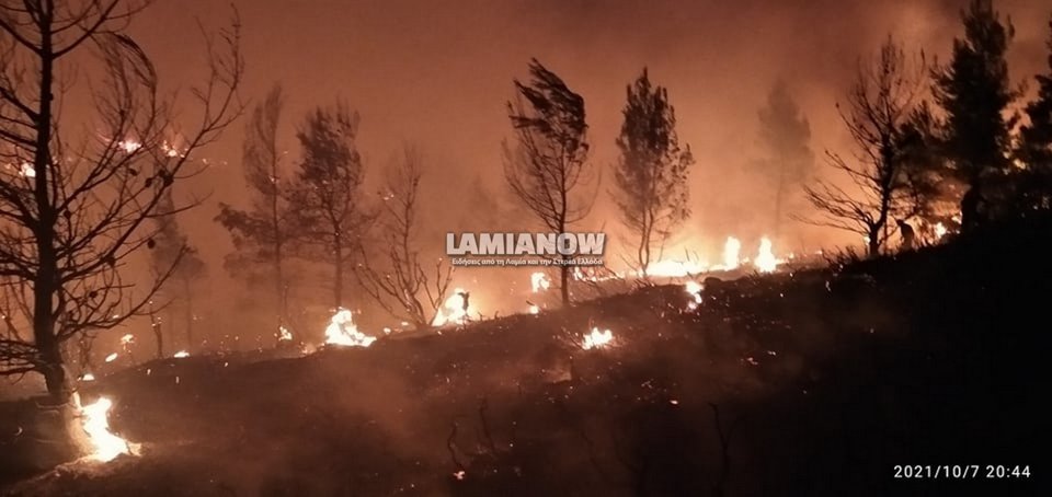 Φωτογραφία: lamianow