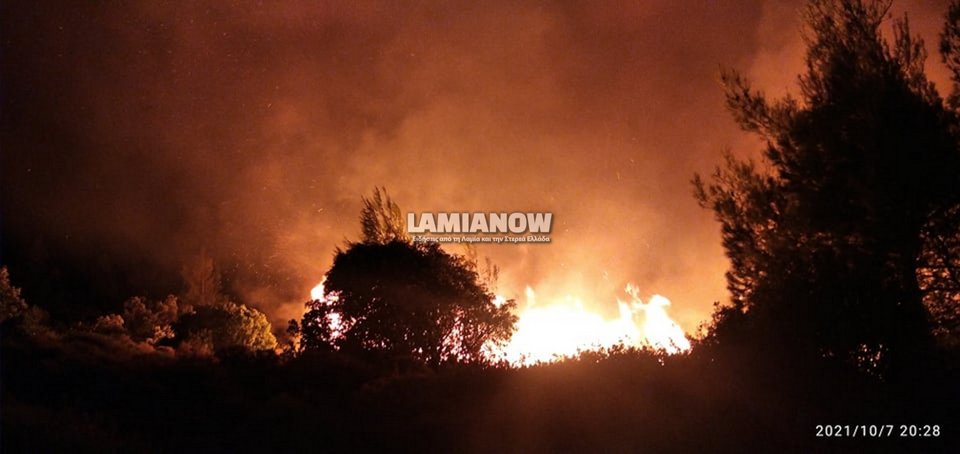 Φωτογραφία: lamianow