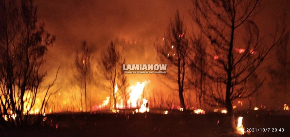 Φωτογραφία: lamianow