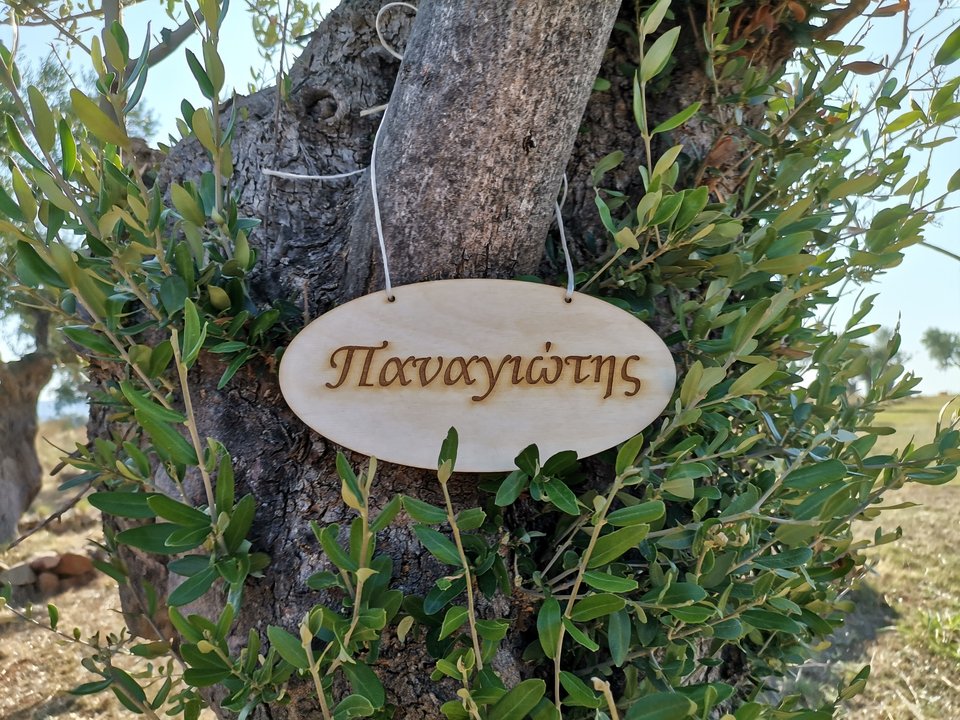 Μία απλή υιοθεσία, κοστίζει 250 ευρώ και τα χρήματα αυτά διατίθενται για τις επιστημονικές έρευνες που διεξάγονται για τη σύσταση και τις ιδιότητες της ελιάς