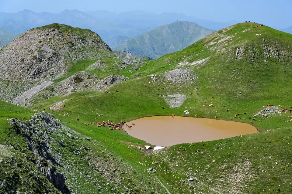 Ορεινό τοπίο στα Άγραφα στη Θεσσαλία, με μικρή λίμνη και αγελάδες