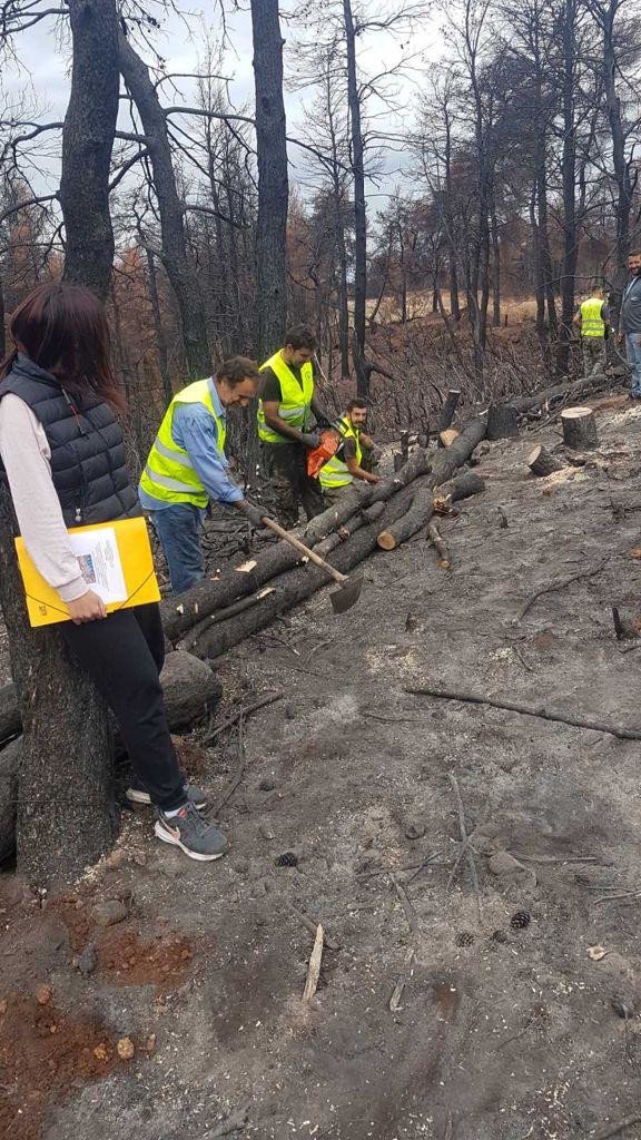 Πάνω από 700 δασεργάτες στις πυρόπληκτες περιοχές της Βόρειας Εύβοιας