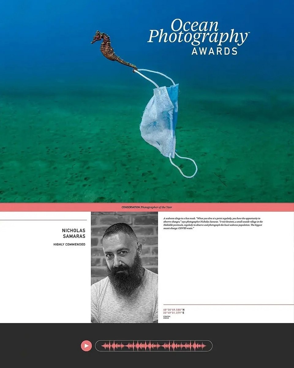 Νικόλας Σαμαράς, ο άνθρωπος πίσω από τη φωτογραφία με τον ιππόκαμπο και τη μάσκα /