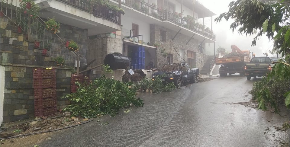 Φωτογραφία: magnesianews