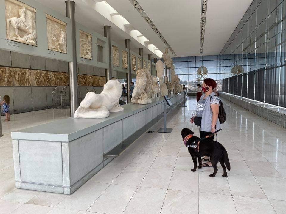 Ιούνιος 2020: Με τον Μπάμπου, το νεότερο σκύλο οδηγό της, στο μουσείο της Ακρόπολης. Ξεναγός τους ήταν ένας φίλος αρχαιολόγος.