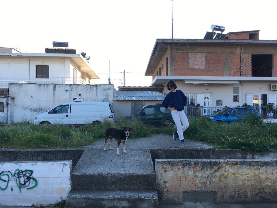 σκυλος