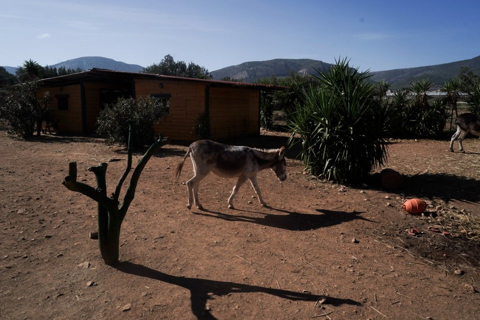 Η «Γαϊδουροχώρα» είναι επισκέψιμη για το κοινό.