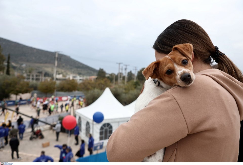 Δυναμικό «παρών» από τετράποδους φίλους
