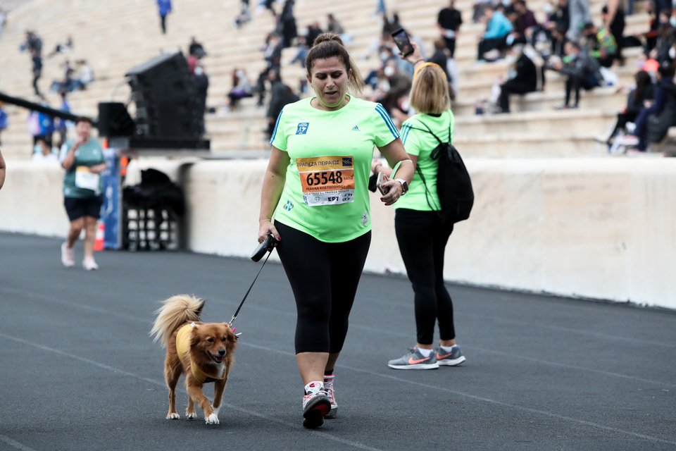 Τετράποδοι φίλοι στον φετινό Μαραθώνιο
