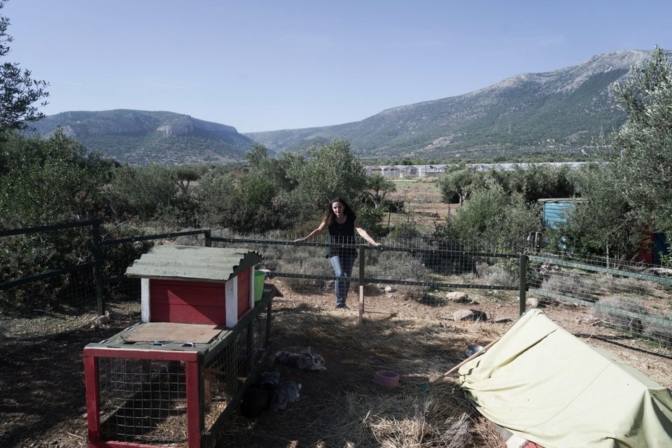 Η Τατιάνα Παπαμόσχου στο χώρο που φιλοξενούνται τα κουνελάκια