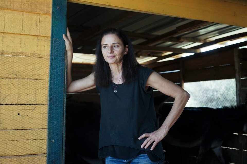 Η ηθοποιός πριν ξεκινήσουμε τη συνέντευξη περιποιόταν μαζί με το Δημήτρη δύο γαϊδουράκια που ήρθαν βαριά τραυματισμένα μετά από επίθεση ζώων.