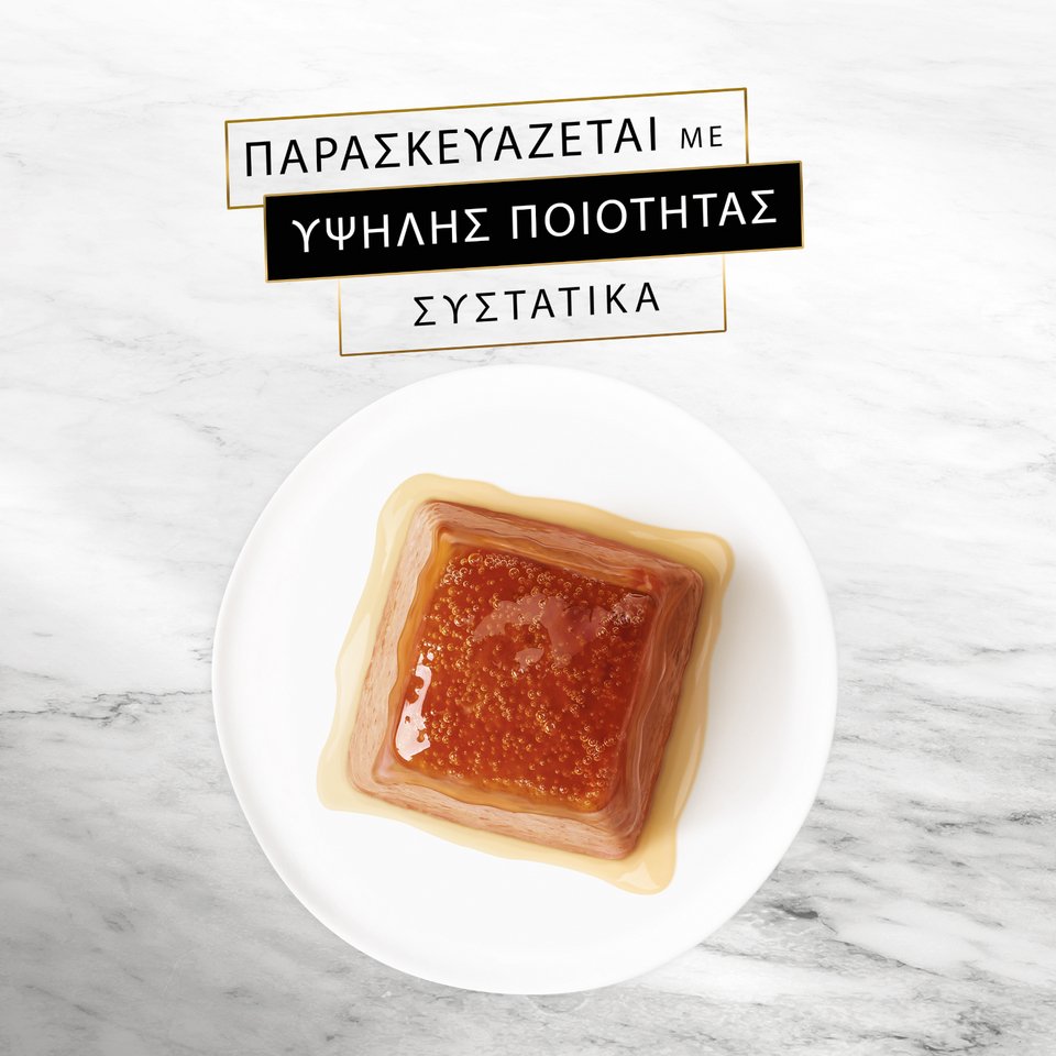 Τρυφερή μους που συνδυάζεται με μια ζουμερή σάλτσα και συστατικά υψηλής ποιότητας για γάτες