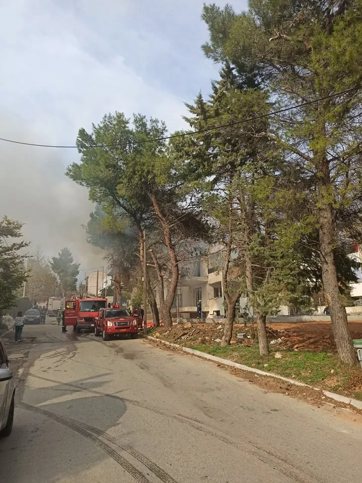 Το σημείο που έσπασε η πυρκαγιά το Κρυονέρι / Φωτογραφία: iefimerida.gr
