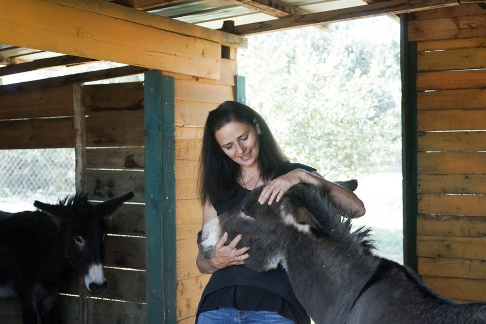 Μέσα στο στάβλο