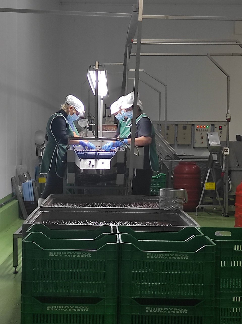 Στο χώρο του τυοποιητηρίου