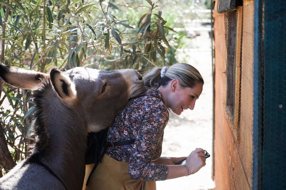 Τα γαϊδουράκια αγαπούν το παιχνίδι