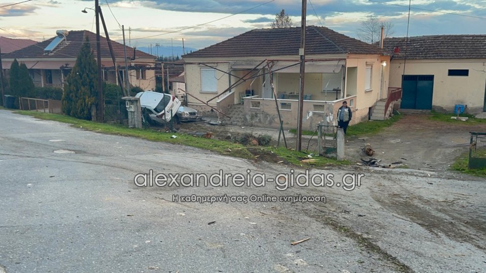 Φωτογραφία: alexandreia-gidas.gr