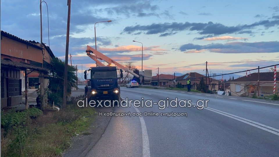 Φωτογραφία: alexandreia-gidas.gr