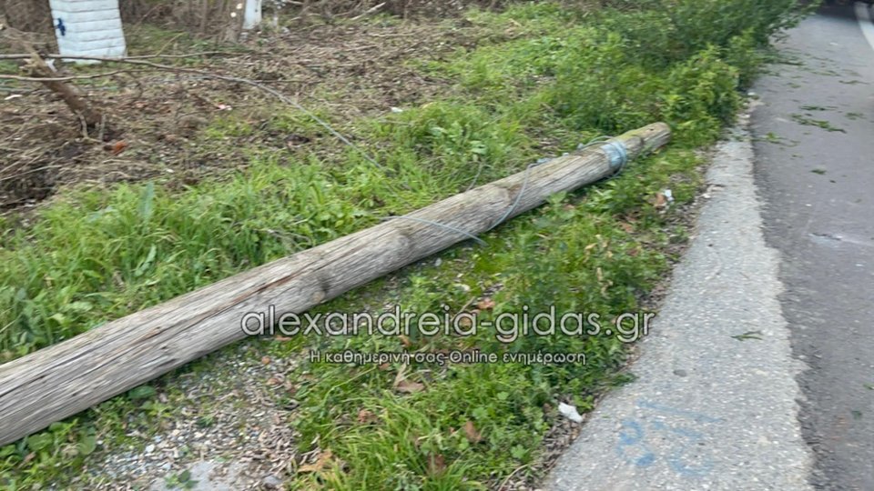 Φωτογραφία: alexandreia-gidas.gr