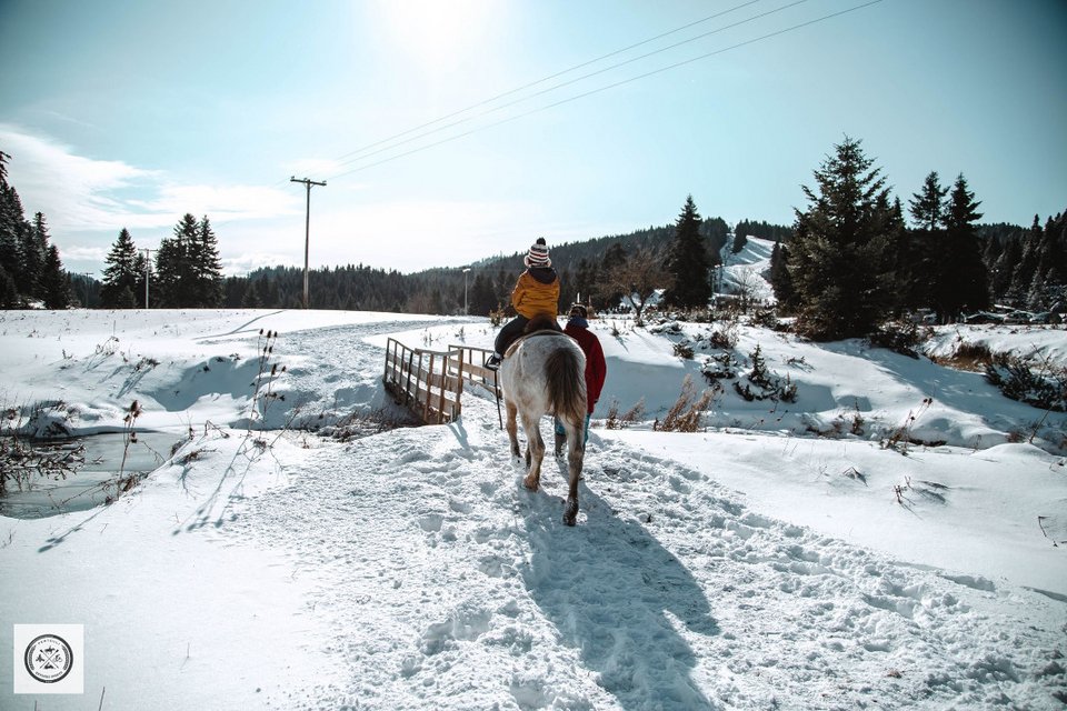 Τα παιδιά λατρεύουν την ιππασία/ Φώτο:Pertouli extreme sports/Fb